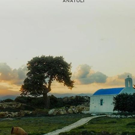 Apartamento Anatoli Ampelas Exterior foto