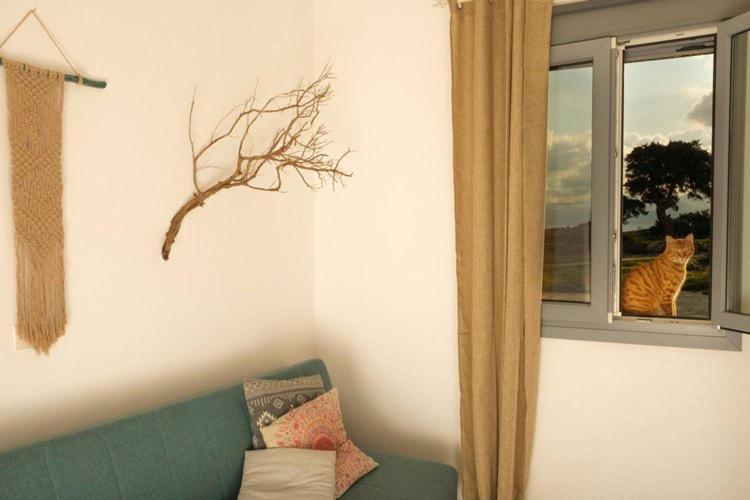 Apartamento Anatoli Ampelas Exterior foto